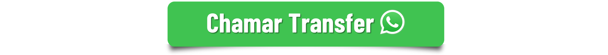 Transfer Guarulhos  ---.png